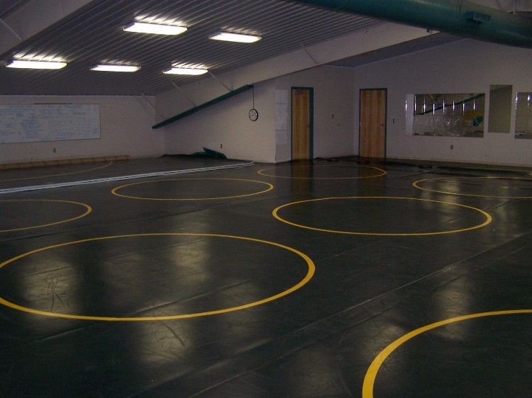 Lift for Wrestling Mats