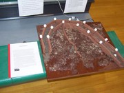 Story image 1_21