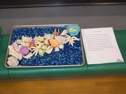 Story image 1_23