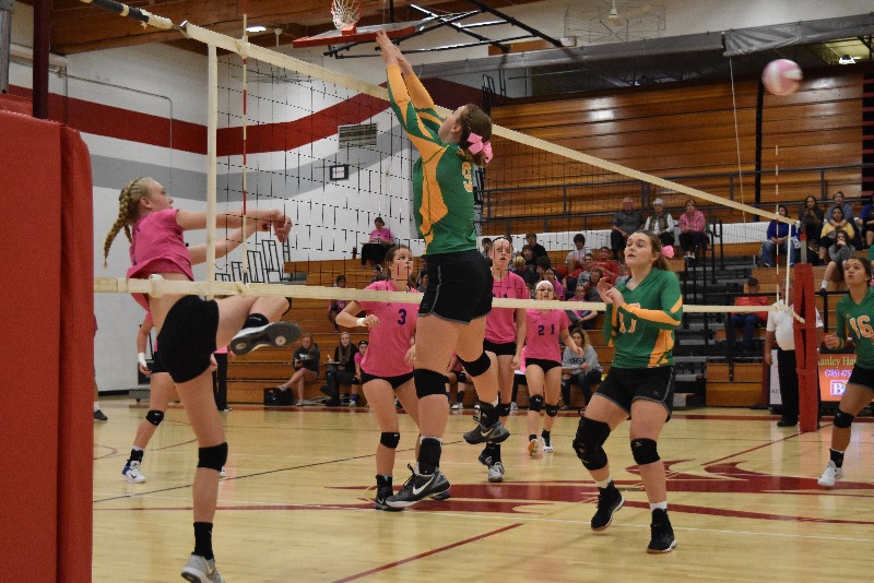 St. Francis Lady Indians Place 2nd in Oberlin Invitational