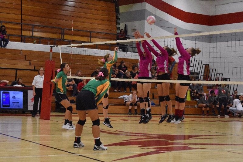 St. Francis Lady Indians Place 2nd in Oberlin Invitational